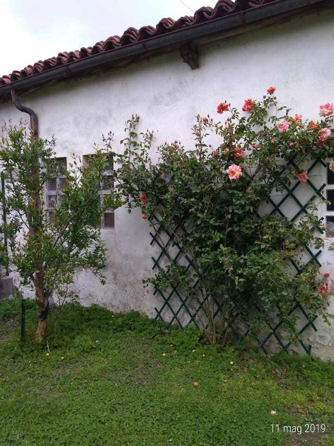 Beb Infamiglia Bed & Breakfast Cascinette Dış mekan fotoğraf