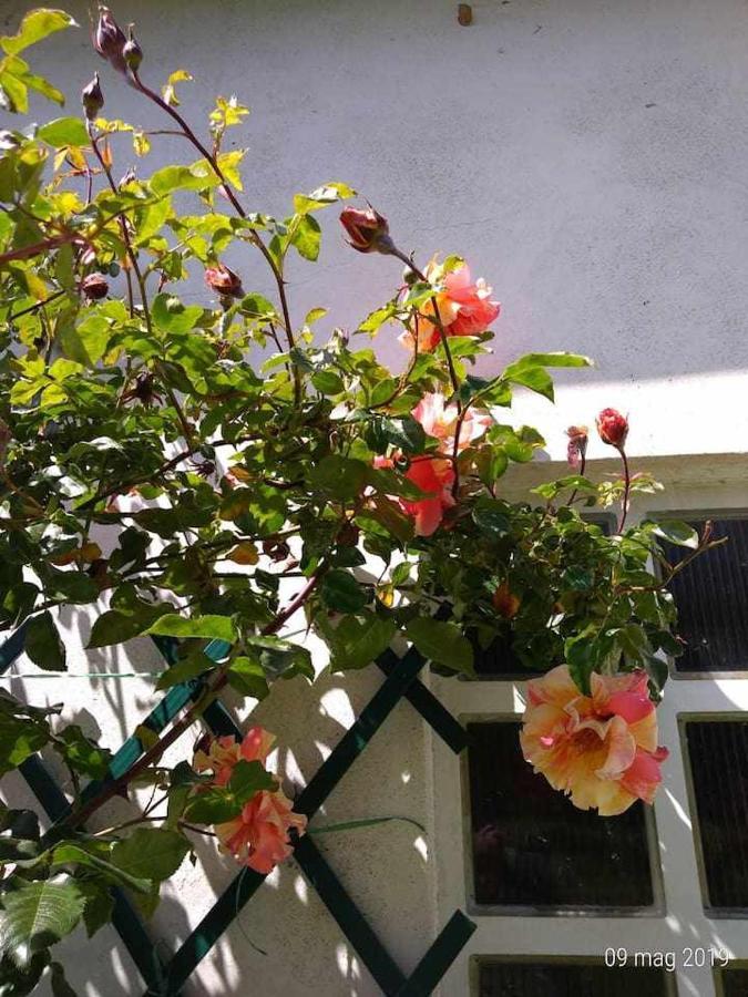 Beb Infamiglia Bed & Breakfast Cascinette Dış mekan fotoğraf